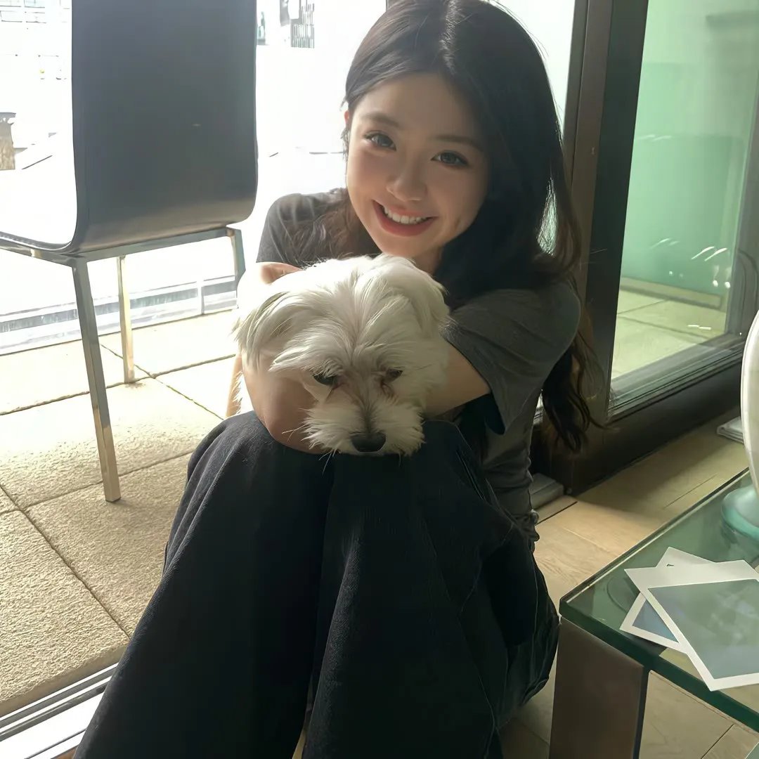 梦的味道：蒙德维地亚见